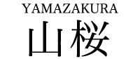 山桜 YAMAZAKURA